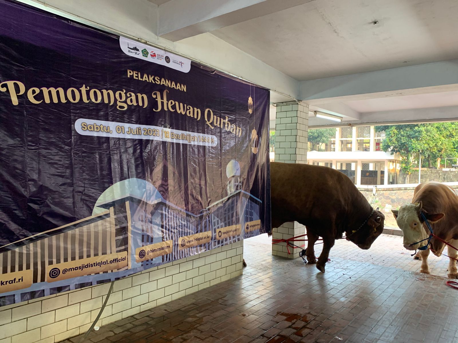 Proses Pemotongan Hewan Kurban di Masjid Istiqlal 