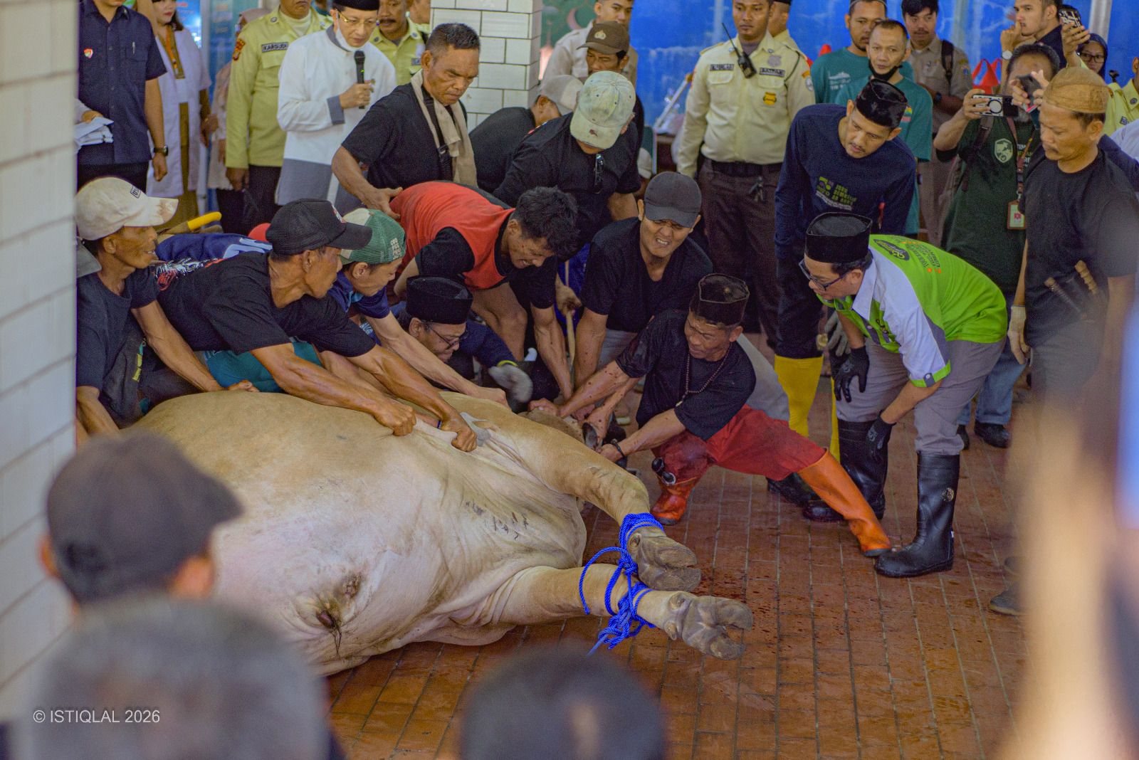  Hikmah Di Balik Disyariatkannya Ibadah Qurban